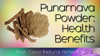 Punarnava Powder Benefits and Uses [upl. by Bourn912]