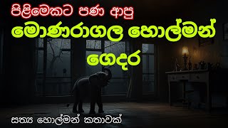 Sri Lanka Holman Katha  මොණරාගල හොල්මන් ගෙදර  Sinhala Ghost Stories  Ghost2U [upl. by Keryt]