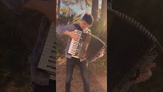 Chopin on Accordion A Journey Through Nocturne No 20 in C Minor [upl. by Wilhelm]