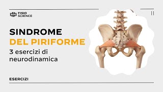 3 esercizi per la Sindrome del Piriforme  Deep Gluteal Syndrome [upl. by Whittaker]