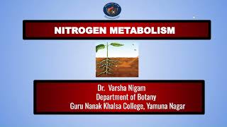 Nitrogen Fixation By Dr Varsha Nigam [upl. by Aicelf]