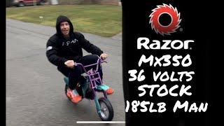 Razor ⚙️ Mx350 36 ⚡️ VOLTS ⚡️ Everything STOCK ride test 185 lbs Adult Test Ride [upl. by Red]