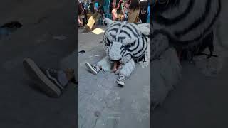 नकली शेर बच्चों को डराता है  fake lion  shortsvideo [upl. by Namsaj]