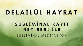 DELAİLÜL HAYRATSUBLİMİNAL KAYITNEY SESİ İLE [upl. by Rats]