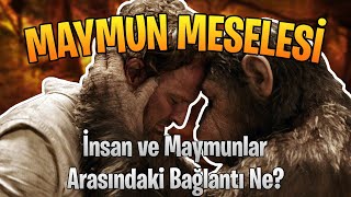 Maymun Meselesi İnsan ile Maymunların Bağlantısı Nedir [upl. by Theresita]