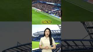 SVĐ Stamford Bridge  Thánh địa của Chelsea [upl. by Gayla]