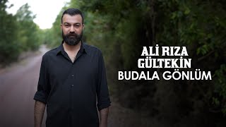 Ali Rıza Gültekin Budala Gönlüm [upl. by Airelav417]