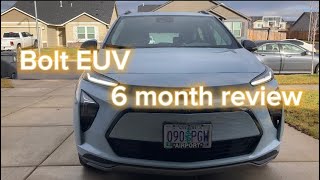 Bolt EUV 6 month review [upl. by Aranaj]