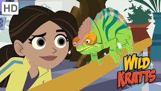 Wild Kratts  Discovering the Secrets of the Animal Kingdom [upl. by Bluhm]