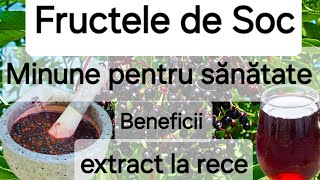 Fructele de Soc  beneficiile uimitoare pentru sanatate Suc din fructe de soc  rețetă [upl. by Nnylirret]