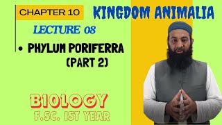 Porifera part 2 The Most Primitive Animals I Chapter 10 I FSc I First Year I biology I Lec 2 [upl. by Ardnassela]