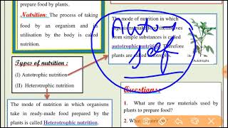 worksheet 1 science class 7 7421 english medium science worksheet 1 class7class7 science [upl. by Anaxor596]