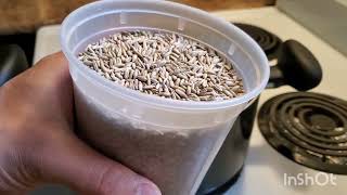 How to make grain spawn using the instant pot [upl. by Cerys]