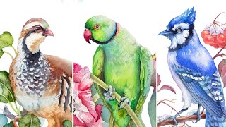 How to Paint Birds 🦜 With Watercolor [upl. by Krisha222]