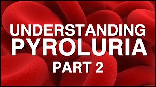 Health Matters Understanding Pyroluria  Part 2 [upl. by Aigneis]