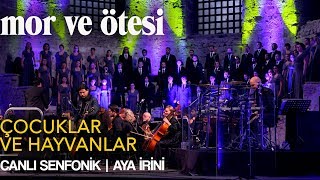 mor ve ötesi  Çocuklar ve Hayvanlar Canlı Senfonik  Aya İrini  Official Video [upl. by Gnos]