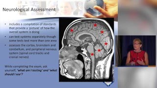 Neurological Assessment [upl. by Elay]