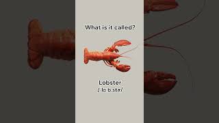 Can you name these seafood learnenglish dailyenglish english vocabulary seafood learn [upl. by Olen]