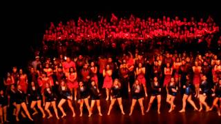 RHS Rangers Dance Show 2011 video 12 [upl. by Buell]