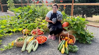 Abundantly Blessed with a MASSIVE Garden Harvest  Full August Garden Tour [upl. by Vernier]