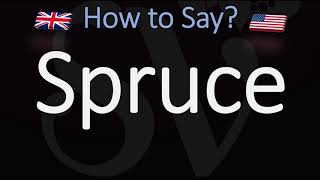 How to Pronounce Spruce CORRECTLY Meaning amp Pronunciation [upl. by Egerton]