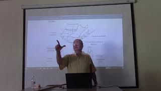 Anatomy of head amp neck 49  Submandibular gland  part 1   by Dr Wahdan [upl. by Tepper]