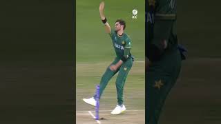 Matthew Wades innings of a lifetime against Pakistan in 2021 😲 CricketShorts YTShorts [upl. by Karyn711]