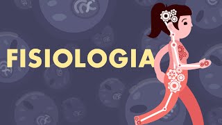 FISIOLOGIA Introdução à Homeostasia [upl. by Aneehsram]