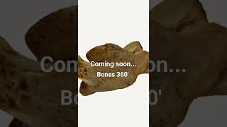 New app Bones 360  will be released soon [upl. by Stahl]