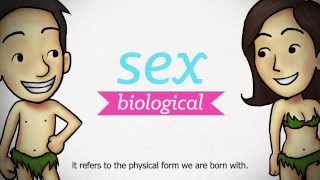 Sexuality Explained EP 1  Understanding Sexuality [upl. by Glaudia]