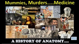 Mummies MurdersMedicine  A History of Anatomy  Anatomy Weekly Ep  1 [upl. by Ahsiemat]