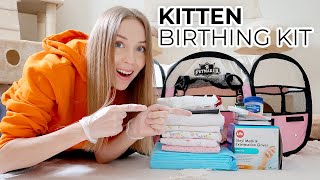 HOW TO PREPARE FOR CAT BIRTH A Home Birthing Kit To Help Deliver Kittens Safely [upl. by Milde951]