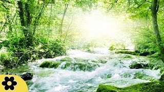 Healing Meditation Music Relaxing Music Calming Music Stress Relief Music Peaceful Music ✿2714C [upl. by Oina]