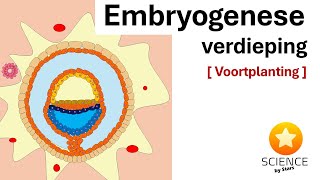 Embryologie Van zygote tot embryo week 1  4  Voortplanting [upl. by Heidy860]