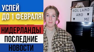 Нидерланды платят 2000 евро беженцам из Украины за возвращение на родину [upl. by Esinel]