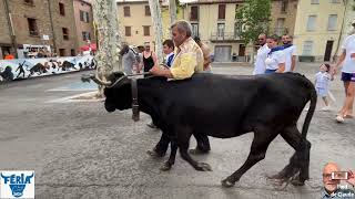 Féria Céret 2024 2e ouverture [upl. by Asertal]