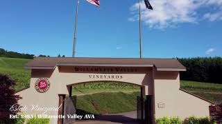 Soaring Over Willamette Valley Vineyards [upl. by Aracahs629]