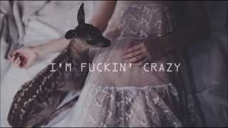 Melanie Martinez  Milk and Cookies lyrics video [upl. by Galen]