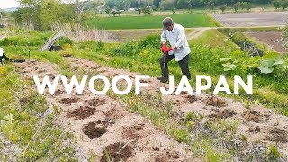 WWOOFF Japan Experience  Trip in Hokkaido  Exchange experience between wwoofer and host [upl. by Nedearb]