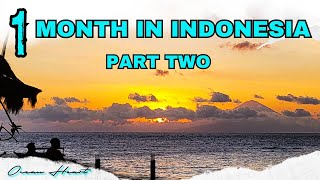 Bali Indonesia Adventures Part 2  WATERFALLS  TURTLES  LOMBOK  SECRET GILIS [upl. by Enomis823]