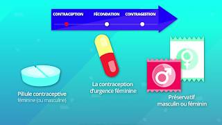 Hormones et procréation humaine SVT 2de [upl. by Karlie234]