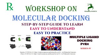 Workshop on Molecular docking  Multiple ligand docking  Series4 [upl. by Nwadahs]