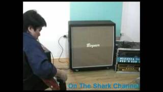 Bogner Fish Preamp  Shark Channel Tested by Arjan Trakun [upl. by Aloysius]