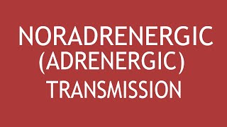 NoradrenergicAdrenergic Transmission by Dr Shikha Parmar [upl. by Ajim]