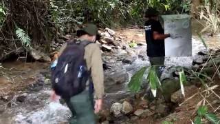 8 Endangered Slow Lorises Returned to Freedom in the Rainforest [upl. by Eydie420]