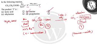 In the following reaction The product  Y  is  a lactic acid b alanine c ethylamine [upl. by Eitsyrc]