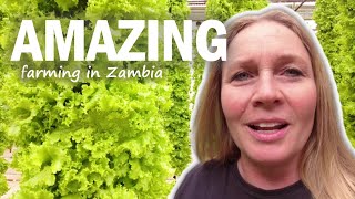 I wanted to see this innovative way of farming in Zambia [upl. by Sotnas]