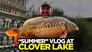 Summer Carp Fishing Vlog At Coking Farm  NEW STOCKISTS [upl. by Elisee]