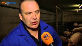 Varkenshouder Marum in de race voor agrarisch ondernemer 2015  RTV Noord [upl. by Carlstrom278]