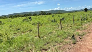 FAZENDA NO SUL DO TOCANTINS COM PREÇO BOM ZAP 62 984571173 [upl. by Fidelia370]